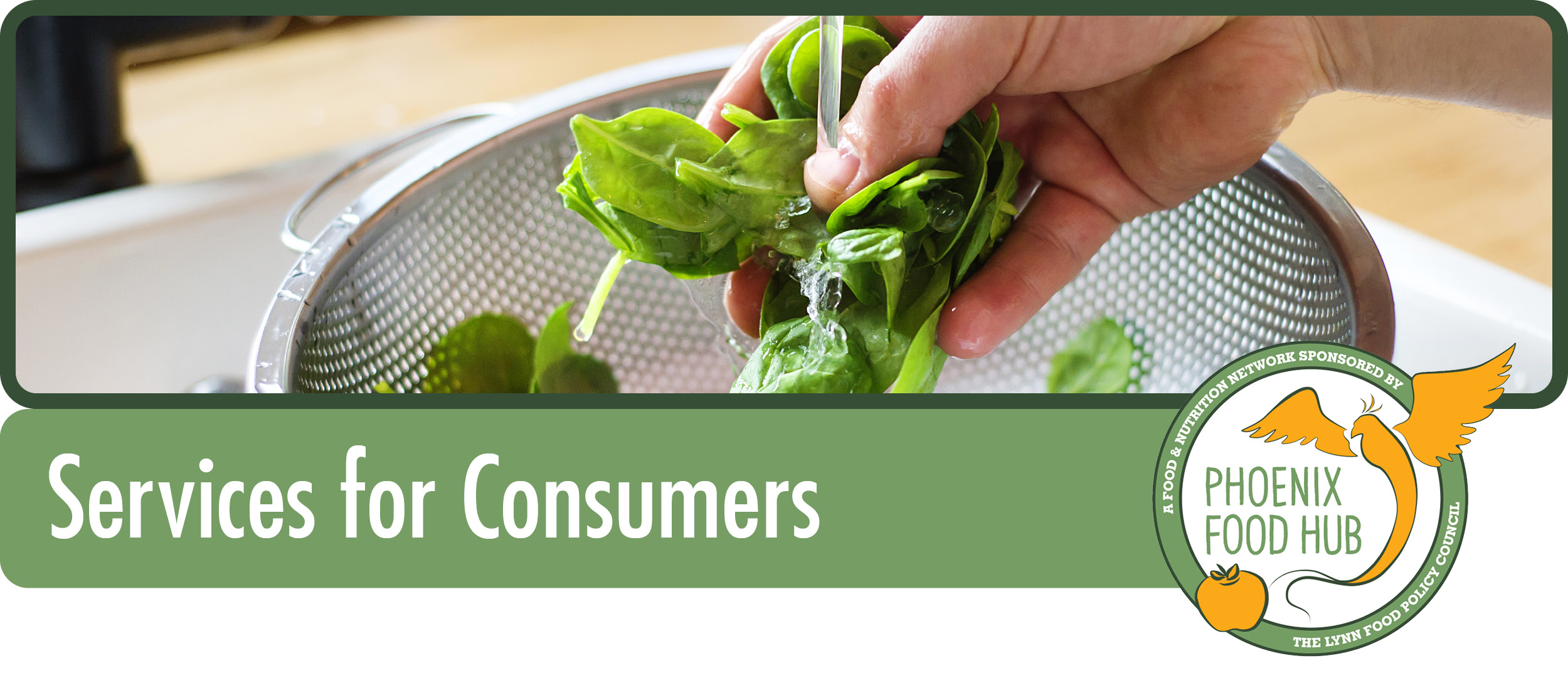Image of person washing greens