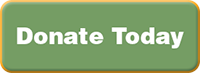 Donate Today Button